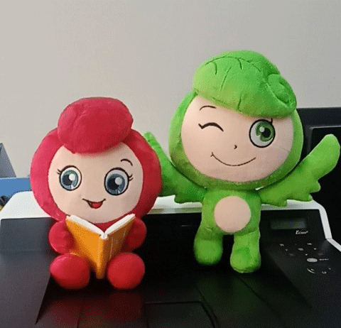 Custom Plush Toy