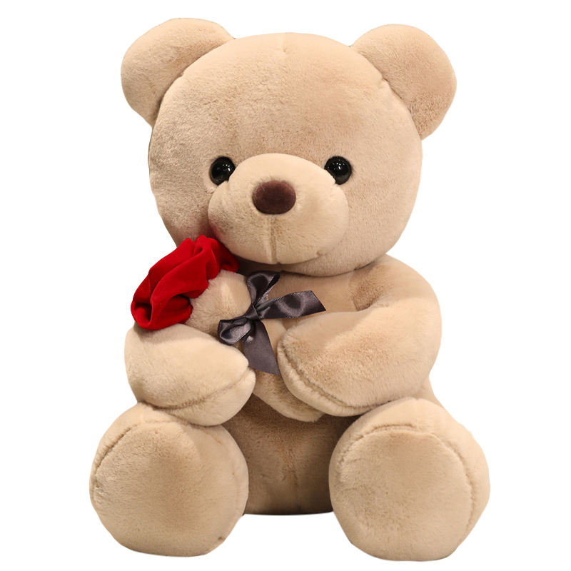 Valentine Teddy Bear