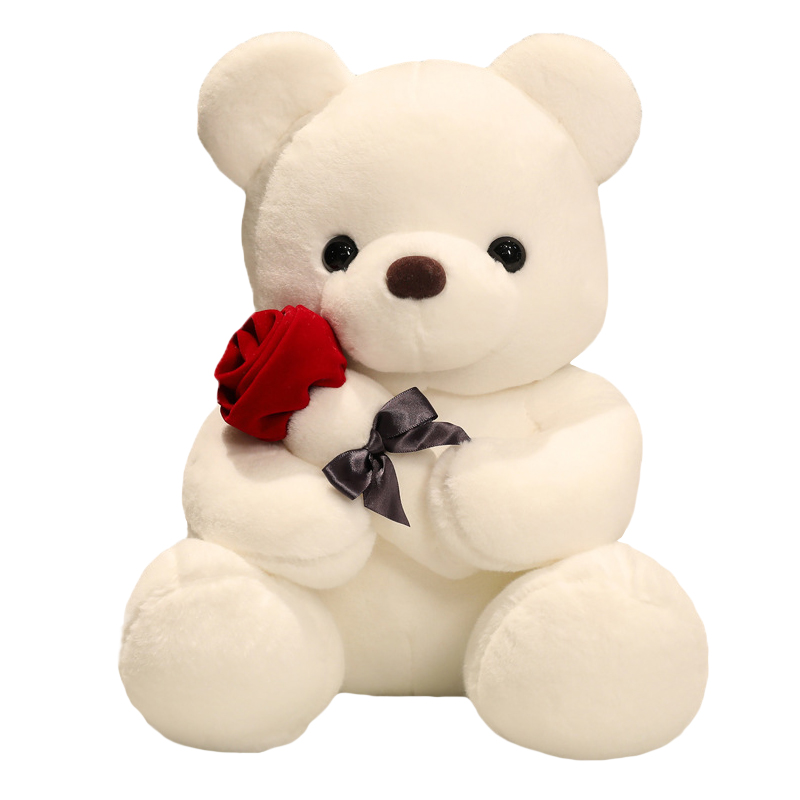 Valentine Teddy Bear