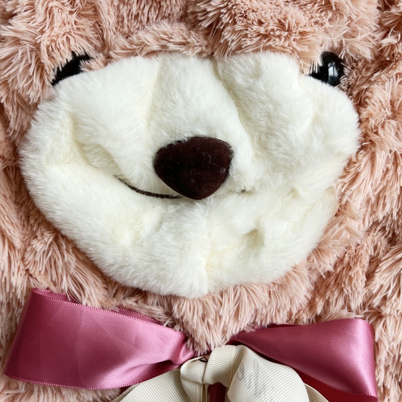 Unstuffed Teddy Bear Plush Skin